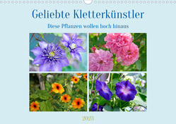 Geliebte Kletterkünstler (Wandkalender 2023 DIN A3 quer) von B-B Müller,  Christine