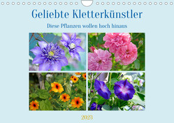 Geliebte Kletterkünstler (Wandkalender 2023 DIN A4 quer) von B-B Müller,  Christine