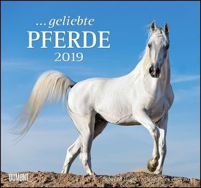 … geliebte Pferde 2019 – DUMONT-Wandkalender – Format 38,0 x 35,5 cm von DUMONT Kalenderverlag, Slawik,  Christiane