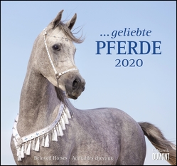 … geliebte Pferde 2020 – DUMONT-Wandkalender – Format 38,0 x 35,5 cm von DUMONT Kalenderverlag, Slawik,  Christiane