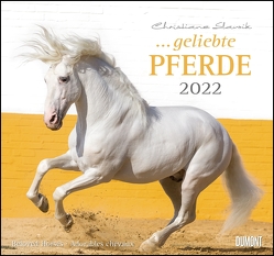 … geliebte Pferde 2022 – DUMONT-Wandkalender – Format 38,0 x 35,5 cm von Slawik,  Christiane