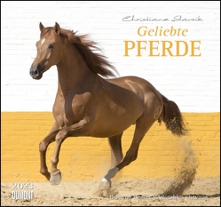 Geliebte Pferde 2023 – DUMONT-Wandkalender – Pferdefotografie von Christiane Slawik Format – 38,0 x 35,5 cm von Slawik,  Christiane