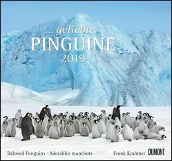 … geliebte Pinguine 2019 – DuMont Wandkalender – mit den wichtigsten Feiertagen – Format 38,0 x 35,5 cm von DUMONT Kalenderverlag, Krahmer,  Frank