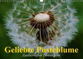 Geliebte Pusteblume. Zauberhafter Löwenzahn (Wandkalender 2019 DIN A3 quer) von Stanzer,  Elisabeth