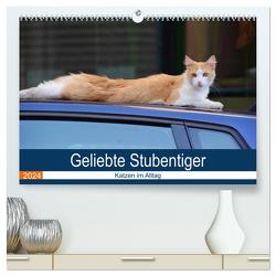 Geliebte Stubentiger – Katzen im Alltag (hochwertiger Premium Wandkalender 2024 DIN A2 quer), Kunstdruck in Hochglanz von Bartruff,  Thomas