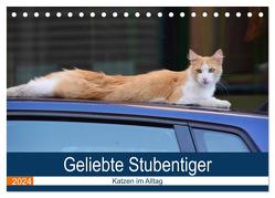 Geliebte Stubentiger – Katzen im Alltag (Tischkalender 2024 DIN A5 quer), CALVENDO Monatskalender von Bartruff,  Thomas