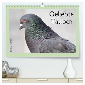 Geliebte Tauben (hochwertiger Premium Wandkalender 2024 DIN A2 quer), Kunstdruck in Hochglanz von Meißner,  Ramona