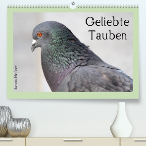 Geliebte Tauben (Premium, hochwertiger DIN A2 Wandkalender 2022, Kunstdruck in Hochglanz) von Meißner,  Ramona