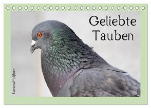 Geliebte Tauben (Tischkalender 2024 DIN A5 quer), CALVENDO Monatskalender von Meißner,  Ramona