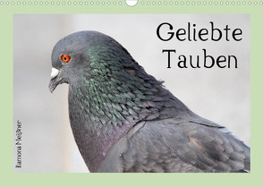 Geliebte Tauben (Wandkalender 2022 DIN A3 quer) von Meißner,  Ramona