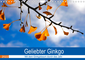 Geliebter Ginkgo (Wandkalender 2022 DIN A4 quer) von Jäger,  Anette