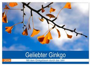Geliebter Ginkgo (Wandkalender 2024 DIN A2 quer), CALVENDO Monatskalender von Jäger,  Anette