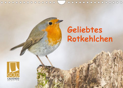 Geliebtes Rotkehlchen (Wandkalender 2023 DIN A4 quer) von Martin (GDT),  Wilfried