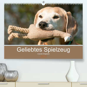 Geliebtes Spielzeug – Azawakh Ridgeback (Premium, hochwertiger DIN A2 Wandkalender 2023, Kunstdruck in Hochglanz) von Bölts,  Meike