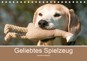 Geliebtes Spielzeug – Azawakh Ridgeback (Tischkalender 2020 DIN A5 quer) von Bölts,  Meike