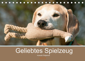 Geliebtes Spielzeug – Azawakh Ridgeback (Tischkalender 2022 DIN A5 quer) von Bölts,  Meike