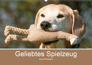 Geliebtes Spielzeug – Azawakh Ridgeback (Premium, hochwertiger DIN A2 Wandkalender 2020, Kunstdruck in Hochglanz) von Bölts,  Meike