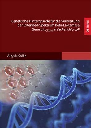 Genetische Hintergründe für die Verbreitung der Extended-Spektrum Beta-Laktamase Gene blaCTX-M in Escherichia coli von Cullik,  Angela