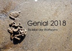 Genial 2018 – Es lebe der Wattwurm (Wandkalender 2018 DIN A3 quer) von Kesslau,  Sybille