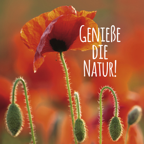 Genieße die Natur! von Korsch Verlag