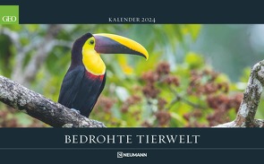 GEO Bedrohte Tierwelt 2024 – Wand-Kalender – Tier-Kalender – Poster-Kalender – 58×36