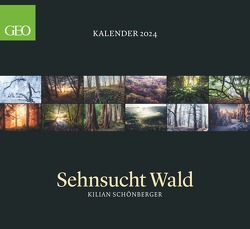 GEO Kalender: Sehnsucht Wald 2024 – Wand-Kalender – Natur-Kalender – 60×55 von Schönberger,  Kilian