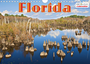 GEOclick calendar: Florida (Wandkalender 2021 DIN A4 quer) von Feske,  Klaus