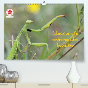 GEOclick Lernkalender: Insekten (Premium, hochwertiger DIN A2 Wandkalender 2021, Kunstdruck in Hochglanz) von Feske,  Klaus