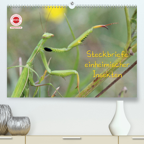 GEOclick Lernkalender: Insekten (Premium, hochwertiger DIN A2 Wandkalender 2022, Kunstdruck in Hochglanz) von Feske,  Klaus