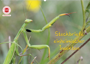 GEOclick Lernkalender: Insekten (Wandkalender 2022 DIN A2 quer) von Feske,  Klaus