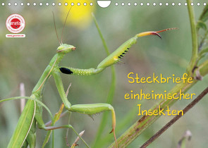 GEOclick Lernkalender: Insekten (Wandkalender 2022 DIN A4 quer) von Feske,  Klaus
