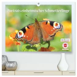 GEOclick Lernkalender: Porträts einheimischer Schmetterlinge (hochwertiger Premium Wandkalender 2024 DIN A2 quer), Kunstdruck in Hochglanz von Feske / GEOclick Lernkalender,  Klaus