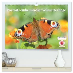 GEOclick Lernkalender: Porträts einheimischer Schmetterlinge (hochwertiger Premium Wandkalender 2024 DIN A2 quer), Kunstdruck in Hochglanz von Feske / GEOclick Lernkalender,  Klaus
