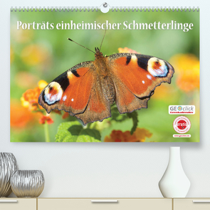 GEOclick Lernkalender: Porträts einheimischer Schmetterlinge (Premium, hochwertiger DIN A2 Wandkalender 2023, Kunstdruck in Hochglanz) von Feske / GEOclick Lernkalender,  Klaus