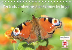 GEOclick Lernkalender: Porträts einheimischer Schmetterlinge (Tischkalender 2021 DIN A5 quer) von Feske / GEOclick Lernkalender,  Klaus