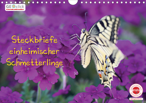 GEOclick Lernkalender: Steckbriefe einheimischer Schmetterlinge (Wandkalender 2020 DIN A4 quer) von Feske,  Klaus