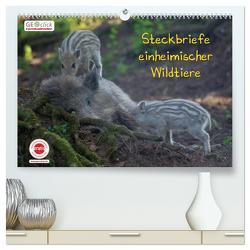 GEOclick Lernkalender: Steckbriefe einheimischer Wildtiere (hochwertiger Premium Wandkalender 2024 DIN A2 quer), Kunstdruck in Hochglanz von Feske,  Klaus