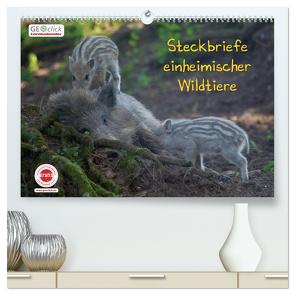 GEOclick Lernkalender: Steckbriefe einheimischer Wildtiere (hochwertiger Premium Wandkalender 2024 DIN A2 quer), Kunstdruck in Hochglanz von Feske,  Klaus