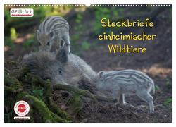 GEOclick Lernkalender: Steckbriefe einheimischer Wildtiere (Wandkalender 2024 DIN A2 quer), CALVENDO Monatskalender von Feske,  Klaus