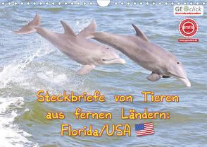 GEOclick Lernkalender: Steckbriefe von Tieren aus fernen Ländern: Florida/USA (Wandkalender 2021 DIN A4 quer) von Feske,  Klaus