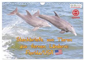 GEOclick Lernkalender: Steckbriefe von Tieren aus fernen Ländern: Florida/USA (Wandkalender 2024 DIN A4 quer), CALVENDO Monatskalender von Feske,  Klaus