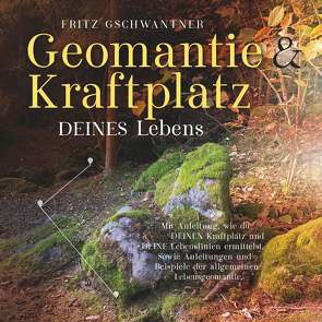 Geomantie und Kraftplatz DEINES Lebens von Gschwantner,  Fritz