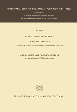 Geometrische Approximationstheorie in normierten Vektorräumen von Brandt,  Olaf