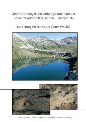 Geomorphologie und Lithologie oberhalb des Rhonetal-Abschnitts Ulrichen – Obergesteln von Cramm,  Sandra