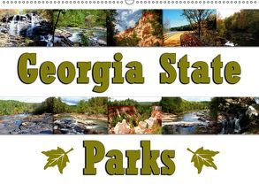 Georgia State Parks (Wandkalender 2018 DIN A2 quer) von Schwarz,  Sylvia