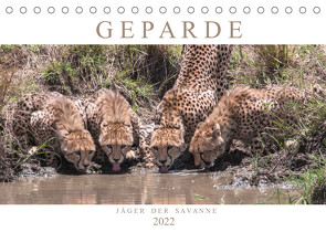 Geparde – Jäger der Savanne (Tischkalender 2022 DIN A5 quer) von Lippmann,  Andreas