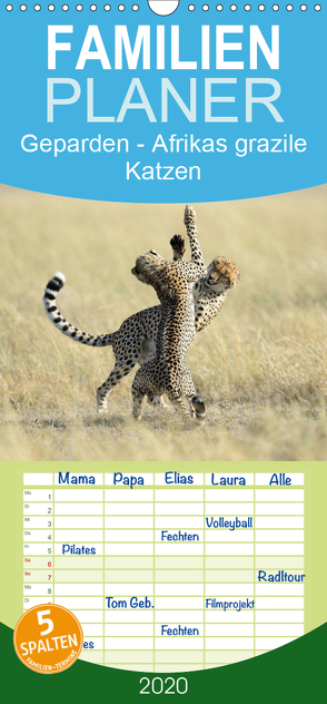 Geparden – Afrikas grazile Katzen – Familienplaner hoch (Wandkalender 2020 , 21 cm x 45 cm, hoch) von Jürs,  Thorsten