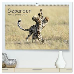 Geparden – Afrikas grazile Katzen (hochwertiger Premium Wandkalender 2024 DIN A2 quer), Kunstdruck in Hochglanz von Jürs,  Thorsten