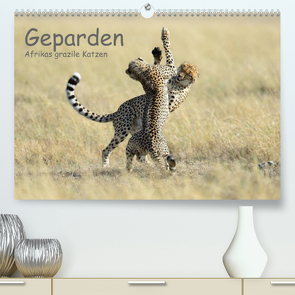 Geparden – Afrikas grazile Katzen (Premium, hochwertiger DIN A2 Wandkalender 2023, Kunstdruck in Hochglanz) von Jürs,  Thorsten