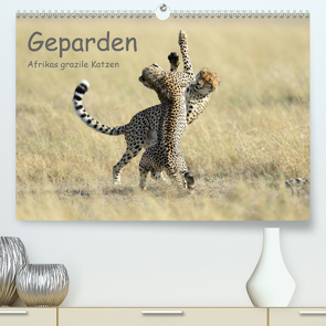 Geparden – Afrikas grazile Katzen (Premium, hochwertiger DIN A2 Wandkalender 2020, Kunstdruck in Hochglanz) von Jürs,  Thorsten